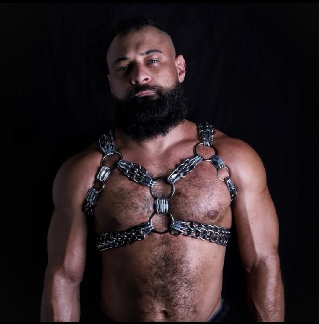 <h1>"Hexwrath"<br><br>Stainless Steel Harness</h1>